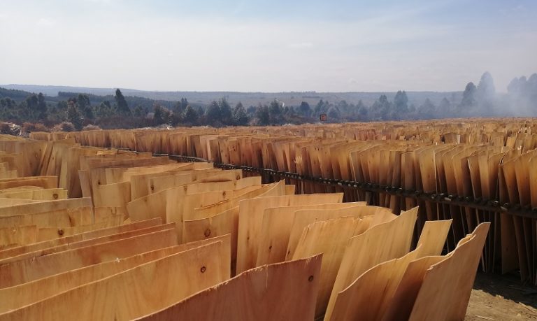 Growing Interest In Engineered Wood Product Manufacturing in Africa